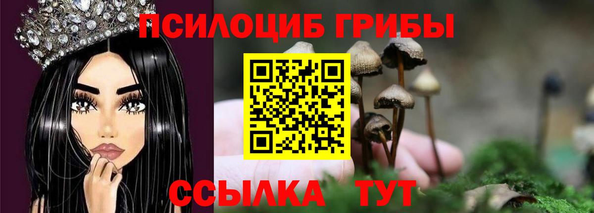 Псилоцибиновые грибы GOLDEN TEACHER Будённовск