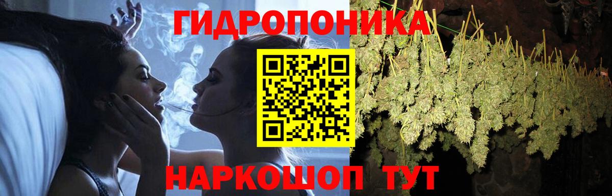 Бошки марихуана OG Kush  Вход с VPN  Шишки марихуана Bruce Banner  Будённовск  Шишки марихуана марихуана 
